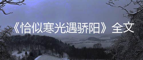 《恰似寒光遇骄阳》全文在线阅读