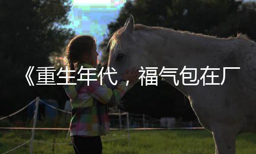 《重生年代，福气包在厂区吃瓜看戏》全文在线阅读